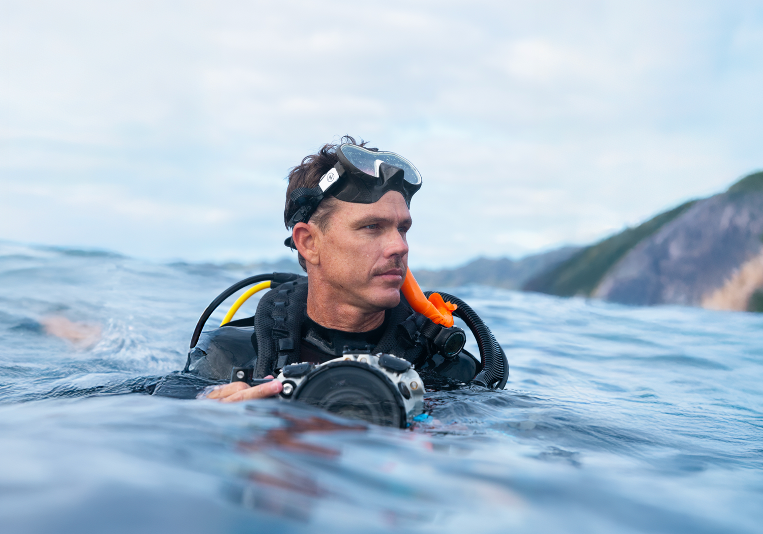 How Shark Photography Turns Fear Into Fascination