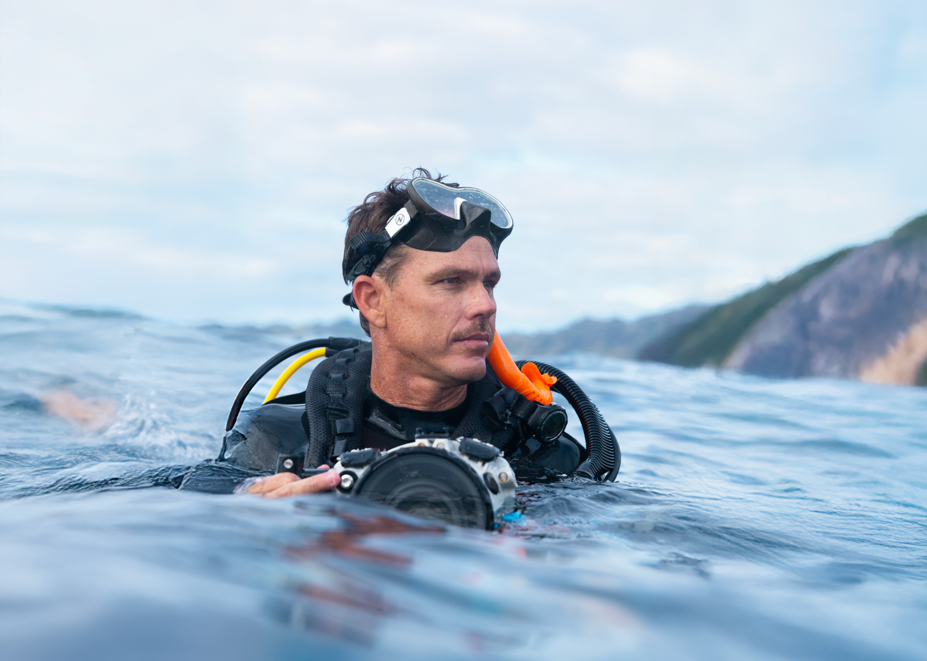 How Shark Photography Turns Fear Into Fascination