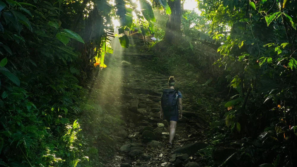 Trekking to The Lost City