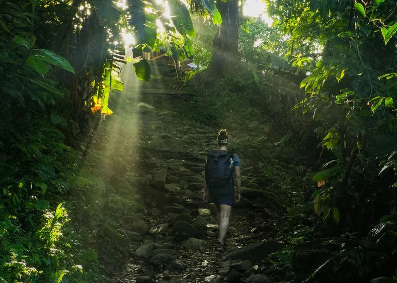 Trekking to The Lost City