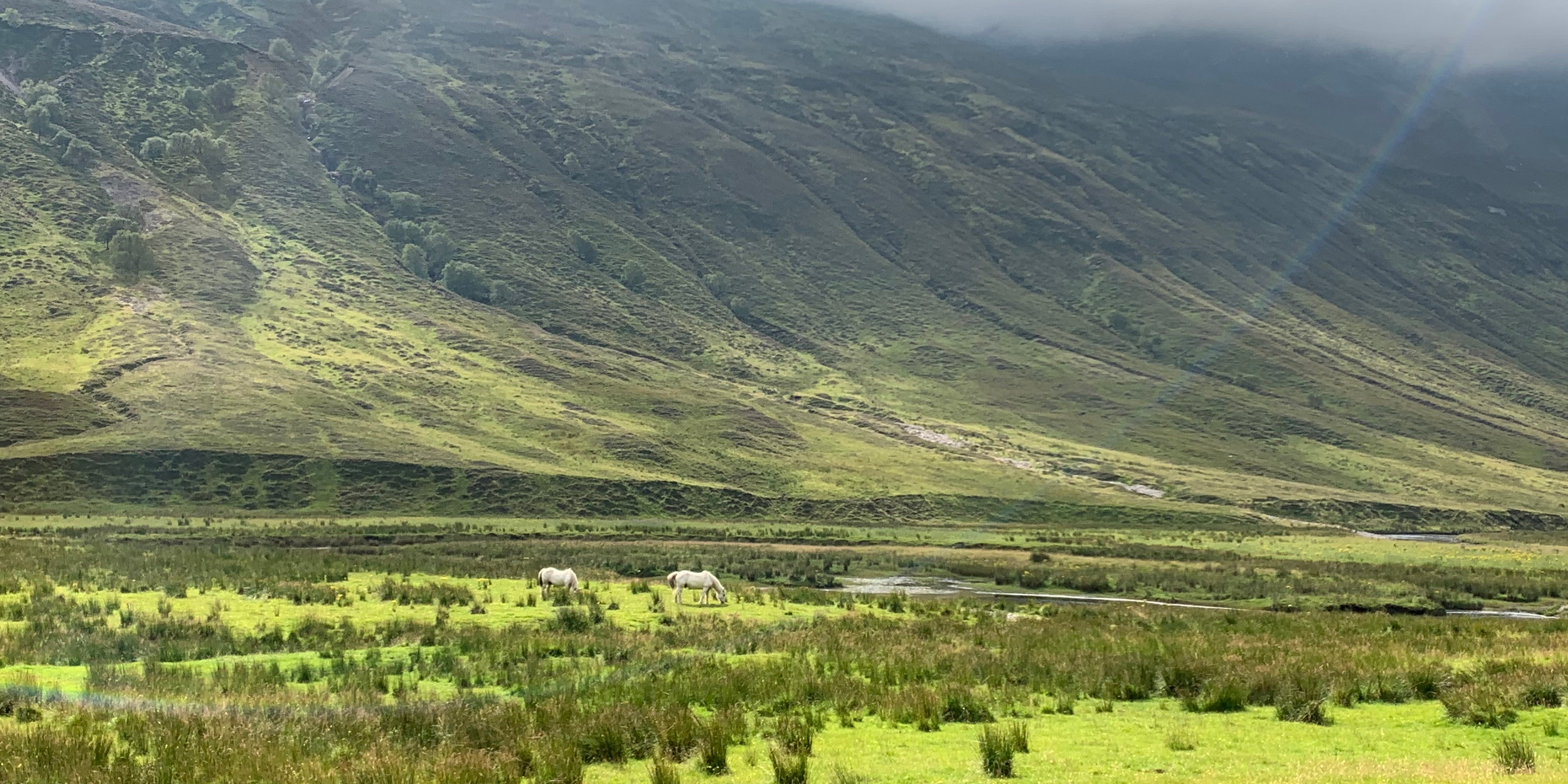 A visit to Alladale Wilderness Reserve